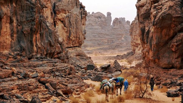 Тассилин-Аджер Алжир
