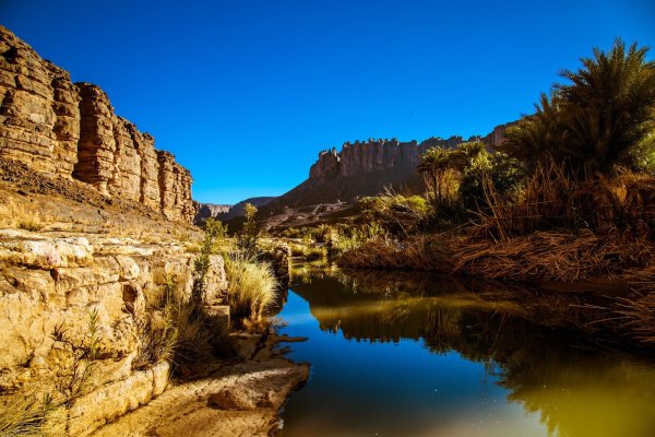 Алжир природа