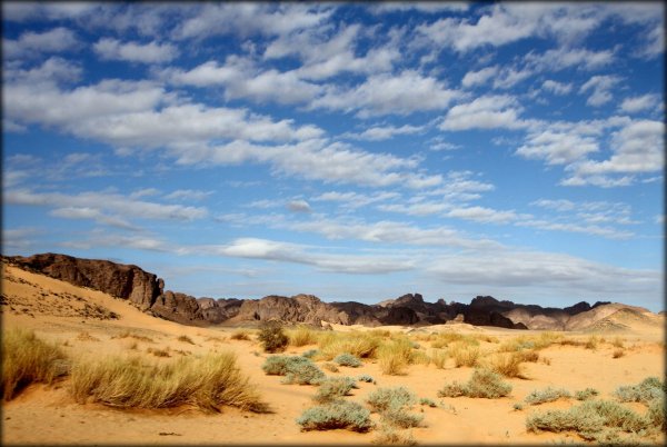 Алжир пустыня