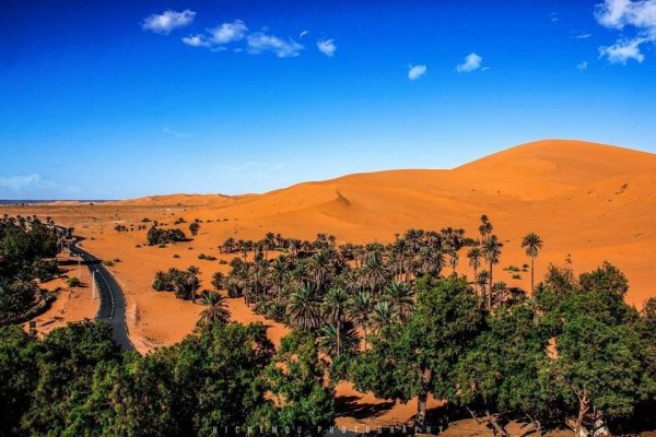 Алжир оазисы