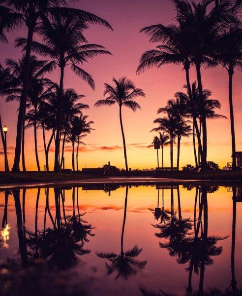 Майами Флорида закат