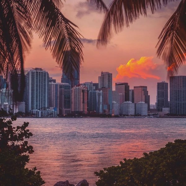 Майами Бич Калифорния