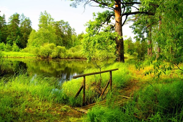 Национальный природный парк «Мещерский»