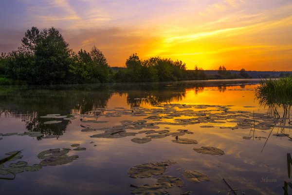 Мещёра национальный парк