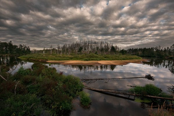 Национальный парк Мещерский Рязань