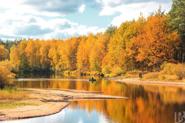 Национальный парк Мещера осень