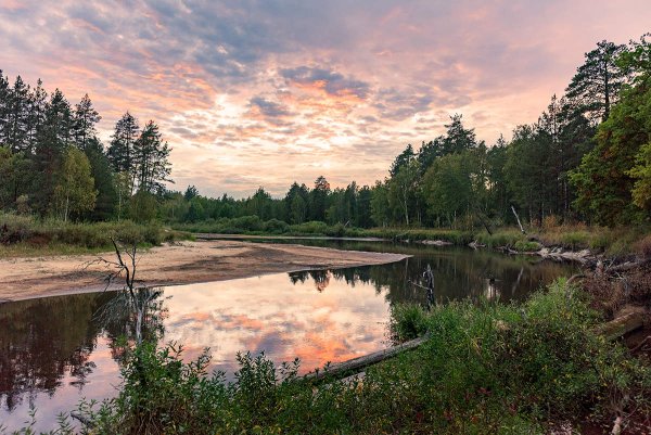 Мещёрский национальный парк Владимирская область