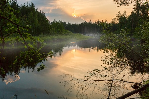 Река Ока национальный парк Мещера