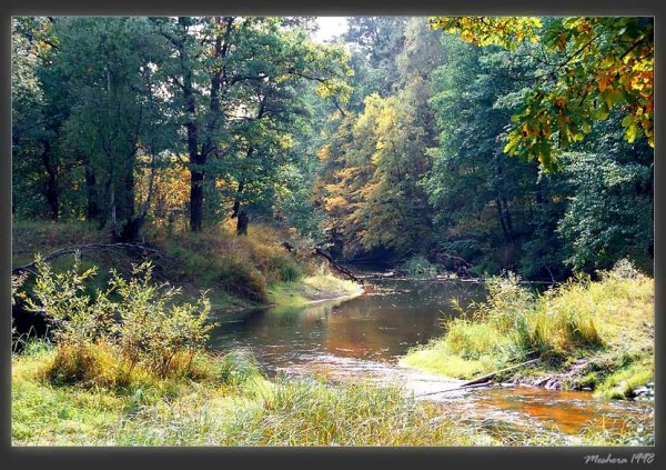 Мещерский национальный парк. Реки пра