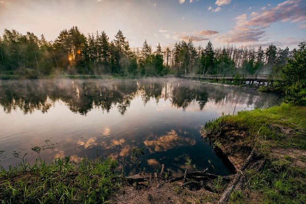 Мещера Заря