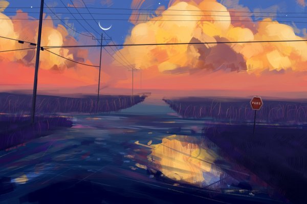 Макото Синкай ночь