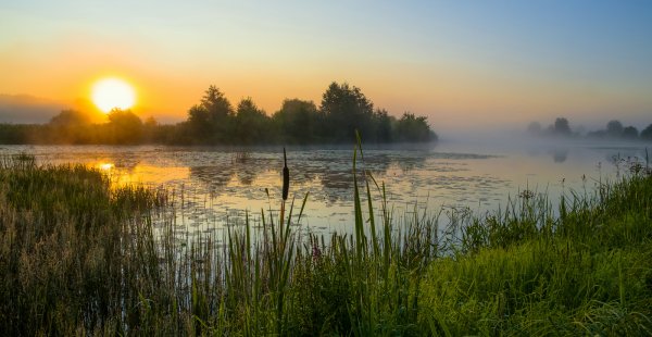 Река Солотча Рязань