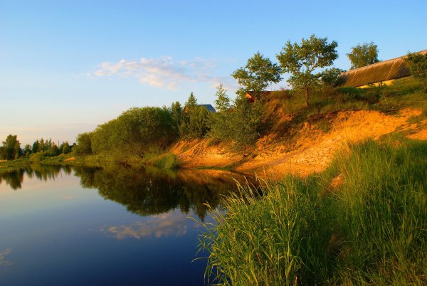 Рязанская природа Мещера лес