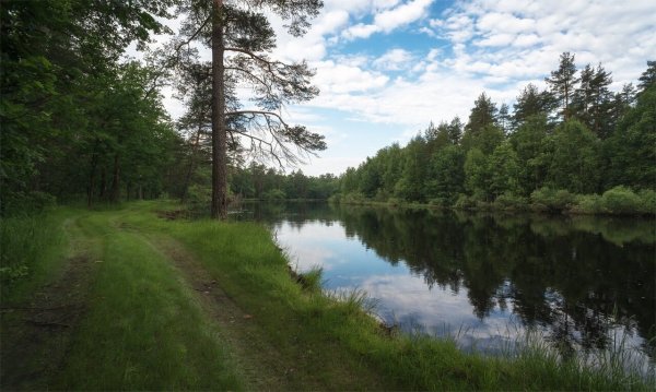Река пра Рязанская область