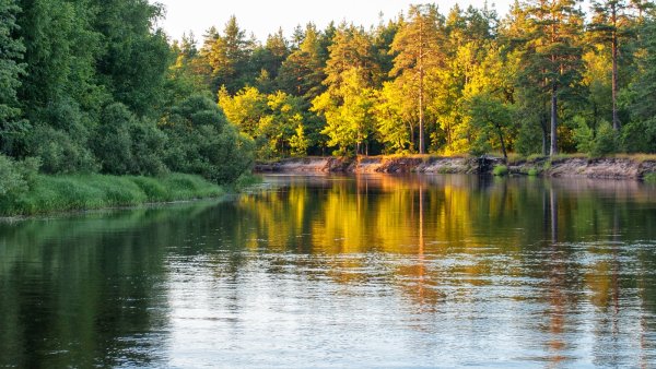 Закат Мещера