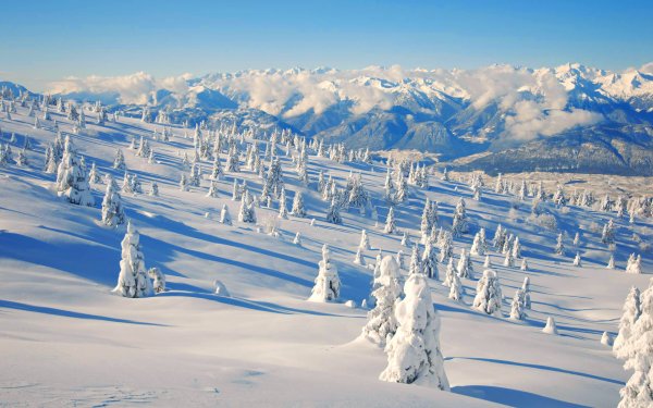 Снежный ландшафт