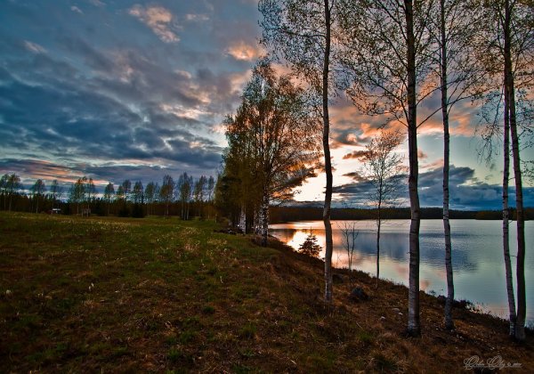 Композиция природа