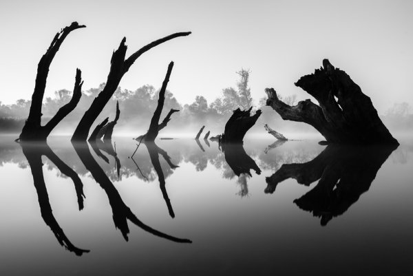 Природа ритм композиция