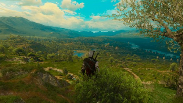 Ведьмак Туссент