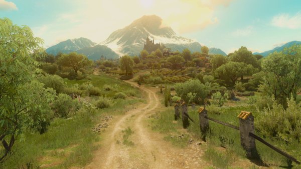 Туссент Ведьмак 3