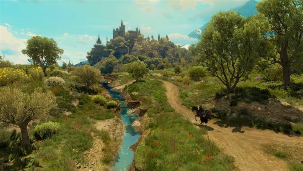 Княжество Туссент Ведьмак