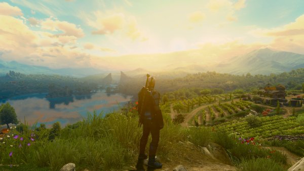 Ведьмак 3 Туссент Боклер