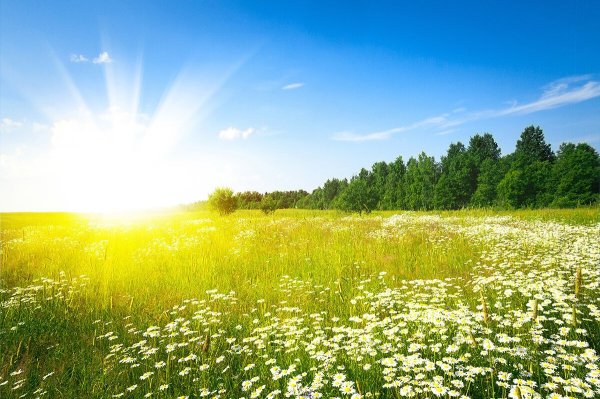 Лето солнце