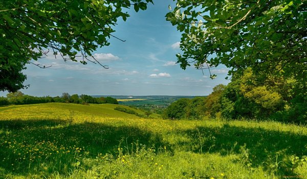 Русская природа