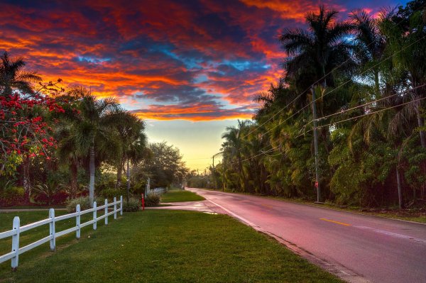 Штат Флорида природа