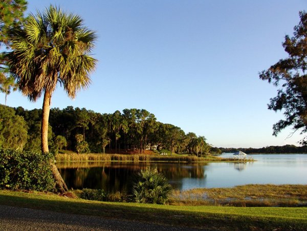 Природа Флориды штат США