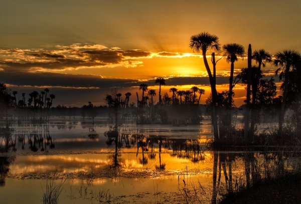 Орландо Флорида закат