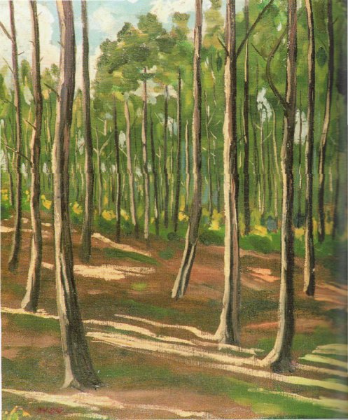 Пейзажи Черчилля