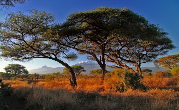 Национальный парк синергети природа