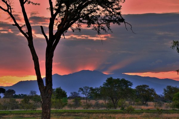 Сафари Танзания Масаи