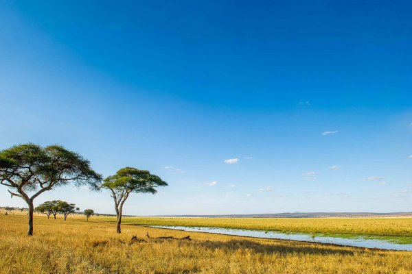 Аруша Танзания климат