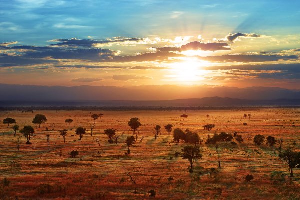 Танзания субэкваториальный пояс