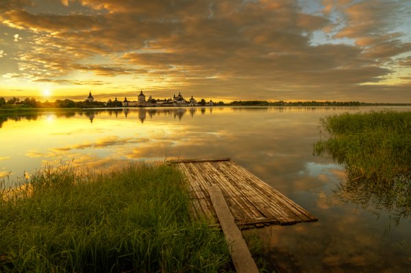 Верховский лес Вологодская область