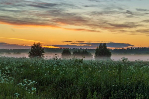 Старая Русса природа