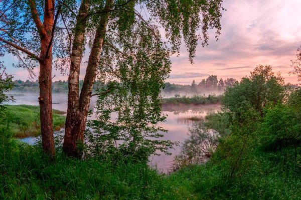Вологодская область