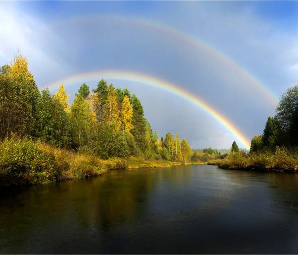 Река Тошня Вологодская область