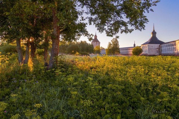 Вологодский лес Вологда