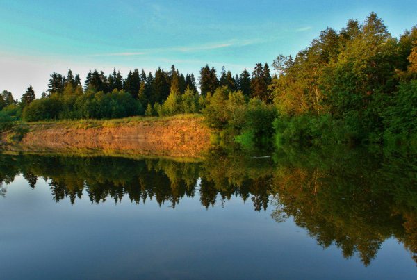 Природа Вологодского района