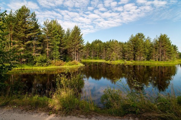 Ковровские пейзажи