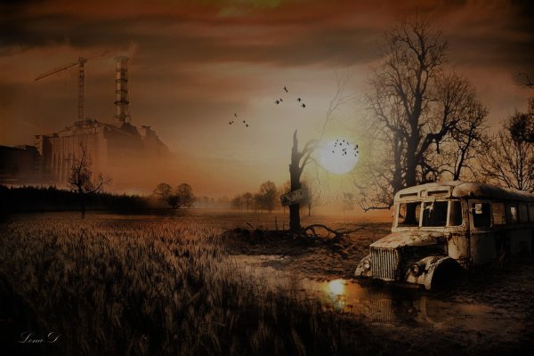 Фон сталкер лост Альфа