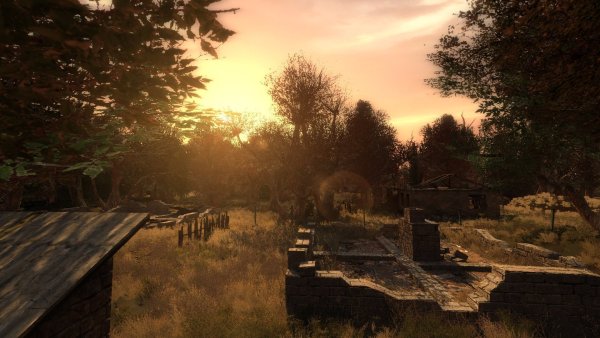 Сталкер природа зоны