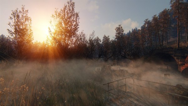 Сталкер тень Чернобыля аномальный лес