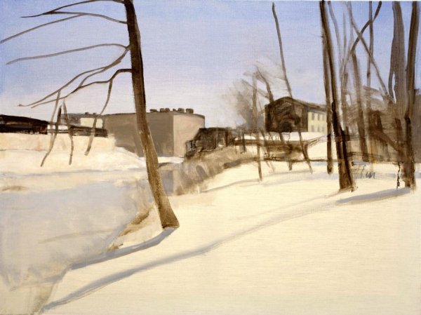 Шинкарёв Владимир Николаевич