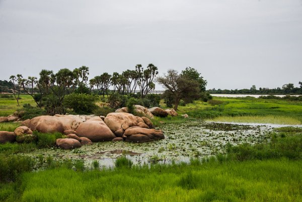 Республика нигер природа