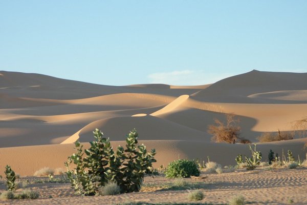 Республика нигер столица