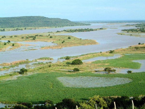 Река нигер в Африке